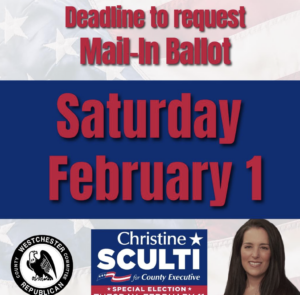 vote Republican Row B - Christine Sculti for County Executive